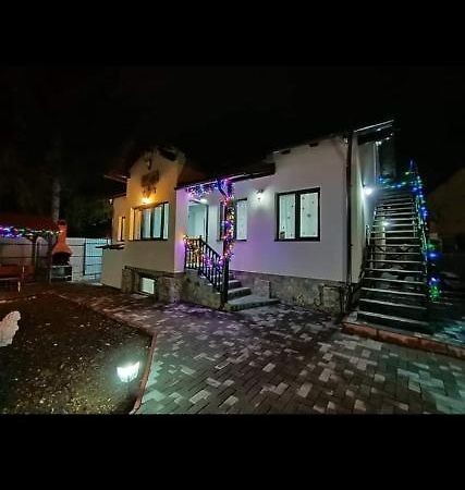 ホテル Casa Andy Buşteni エクステリア 写真