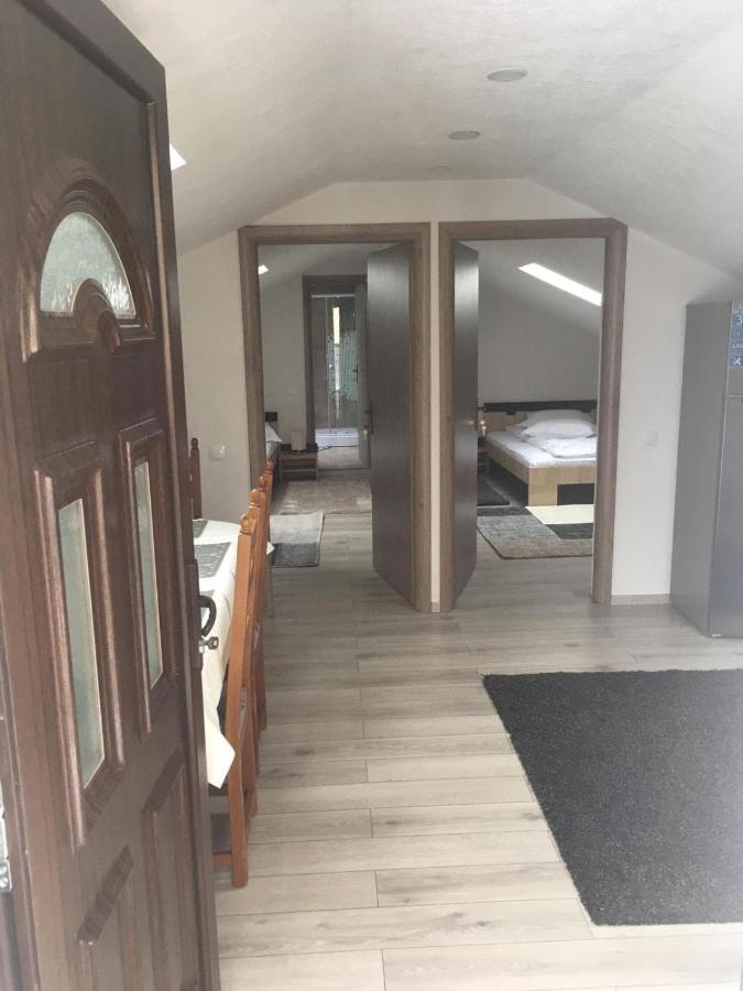ホテル Casa Andy Buşteni エクステリア 写真