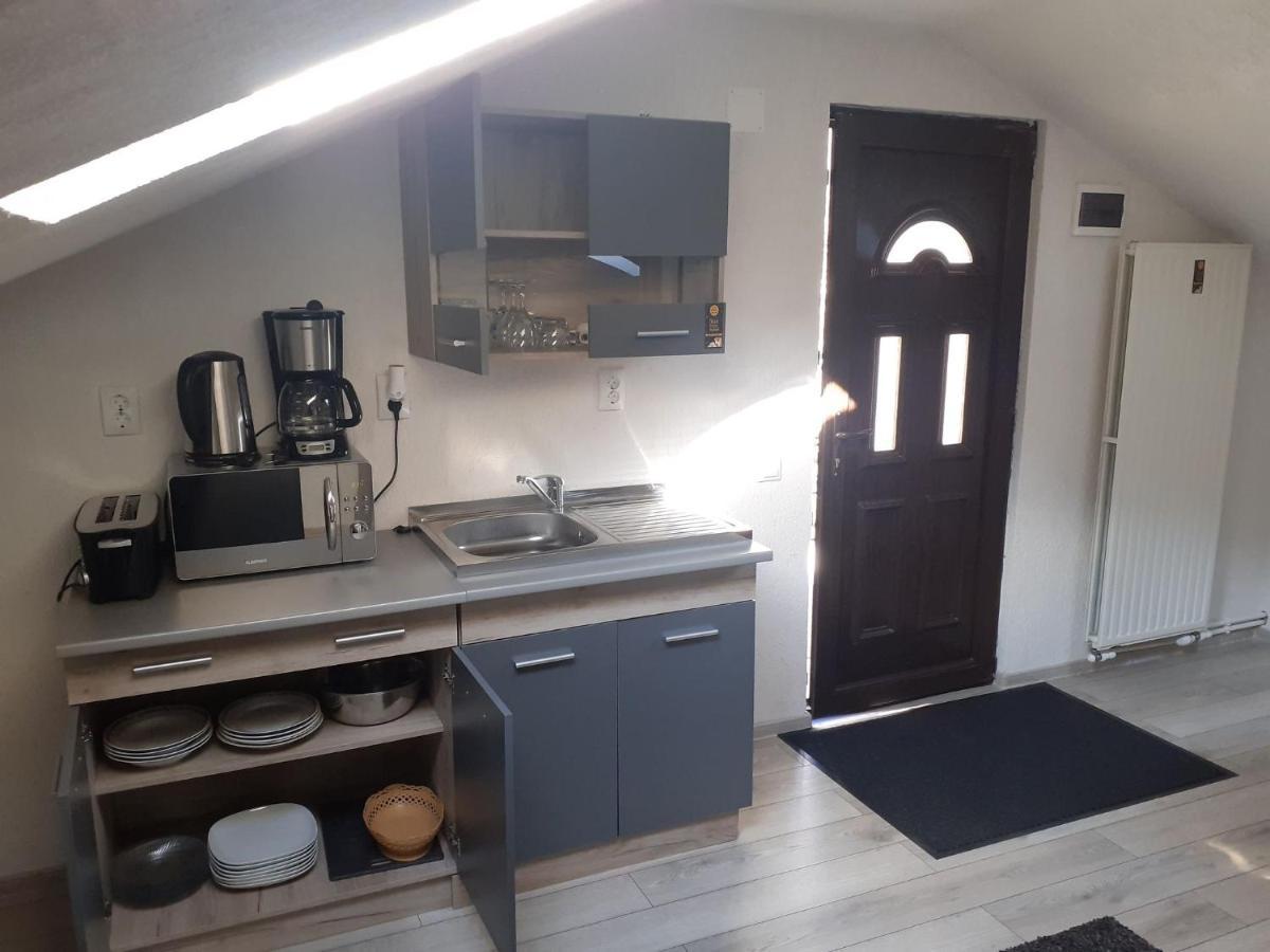 ホテル Casa Andy Buşteni エクステリア 写真