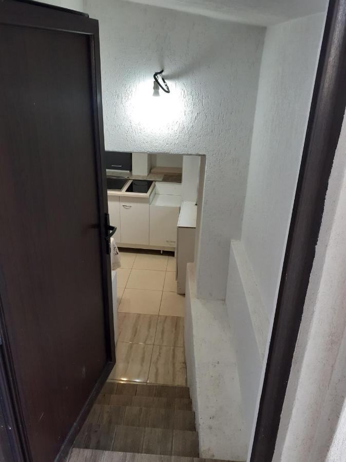ホテル Casa Andy Buşteni エクステリア 写真