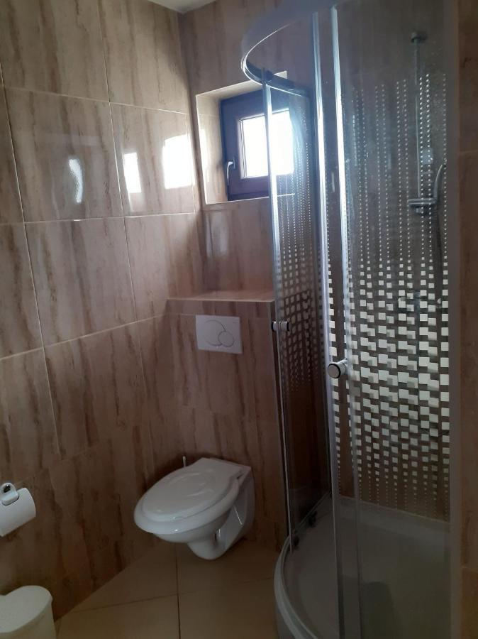 ホテル Casa Andy Buşteni エクステリア 写真