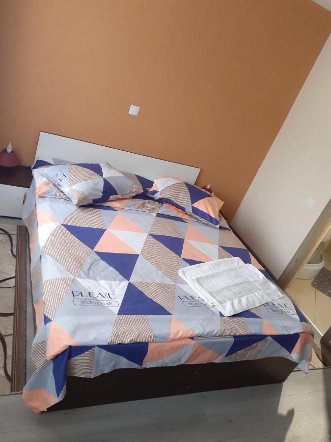ホテル Casa Andy Buşteni エクステリア 写真