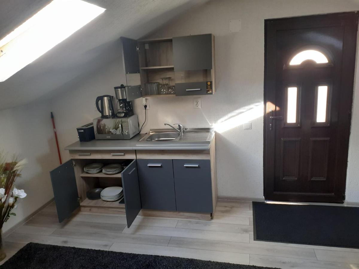 ホテル Casa Andy Buşteni エクステリア 写真