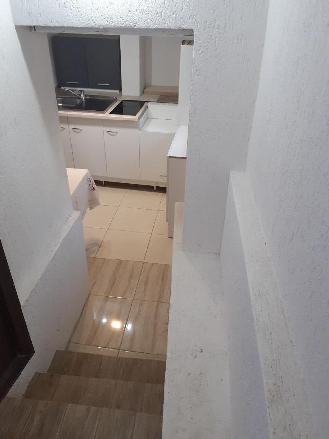 ホテル Casa Andy Buşteni エクステリア 写真