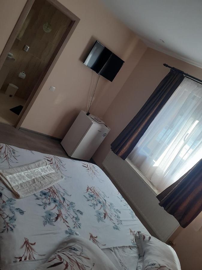 ホテル Casa Andy Buşteni エクステリア 写真