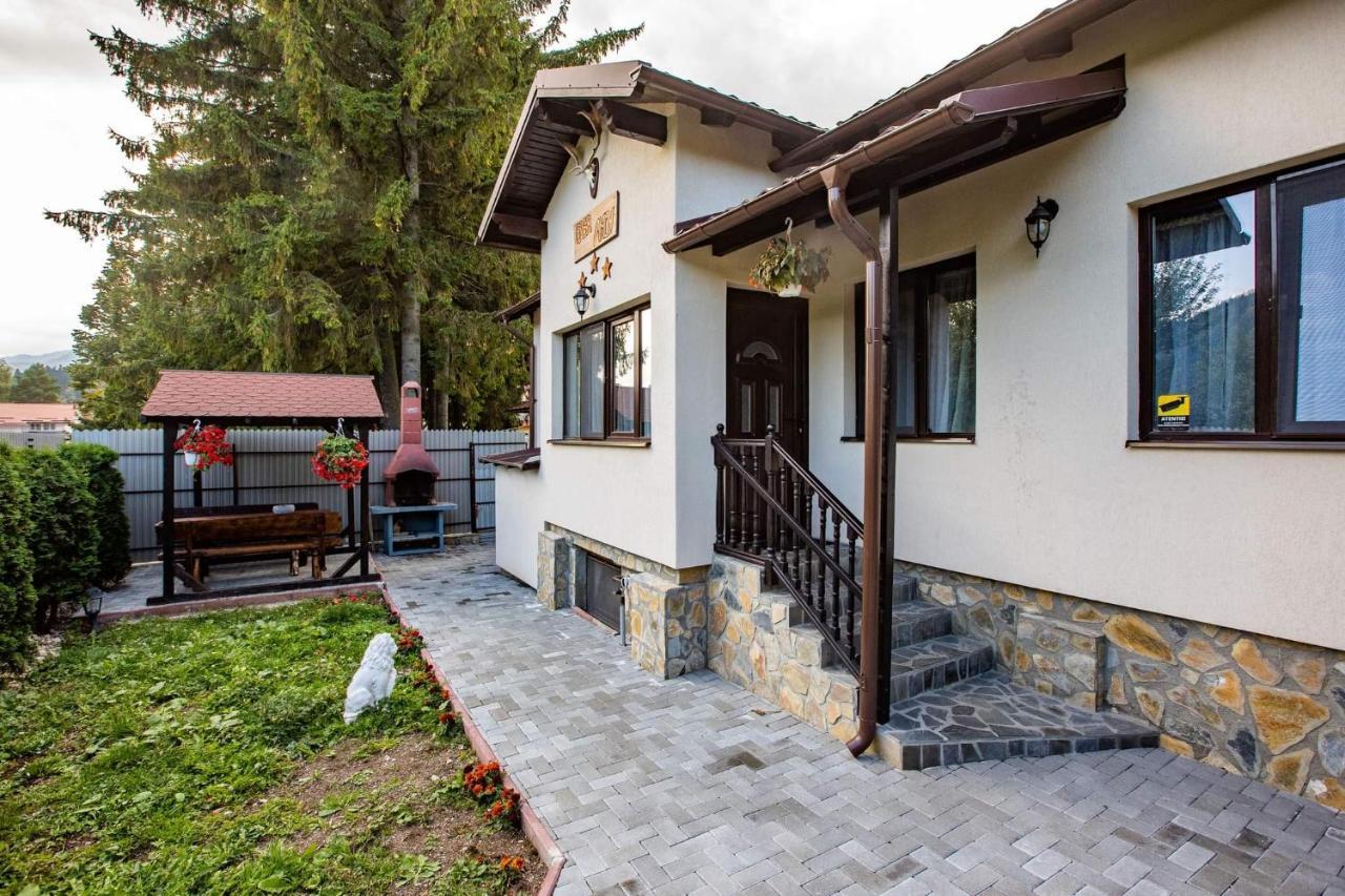 ホテル Casa Andy Buşteni エクステリア 写真