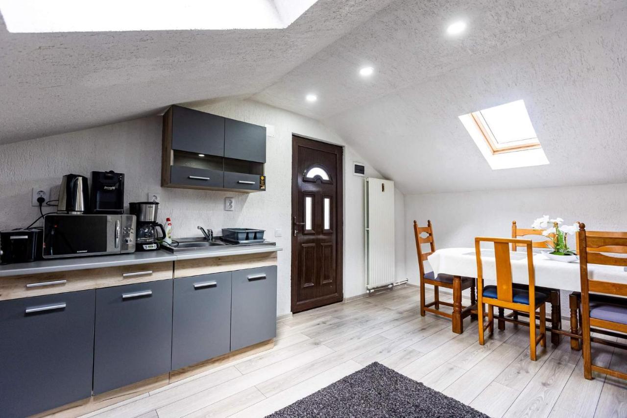 ホテル Casa Andy Buşteni エクステリア 写真